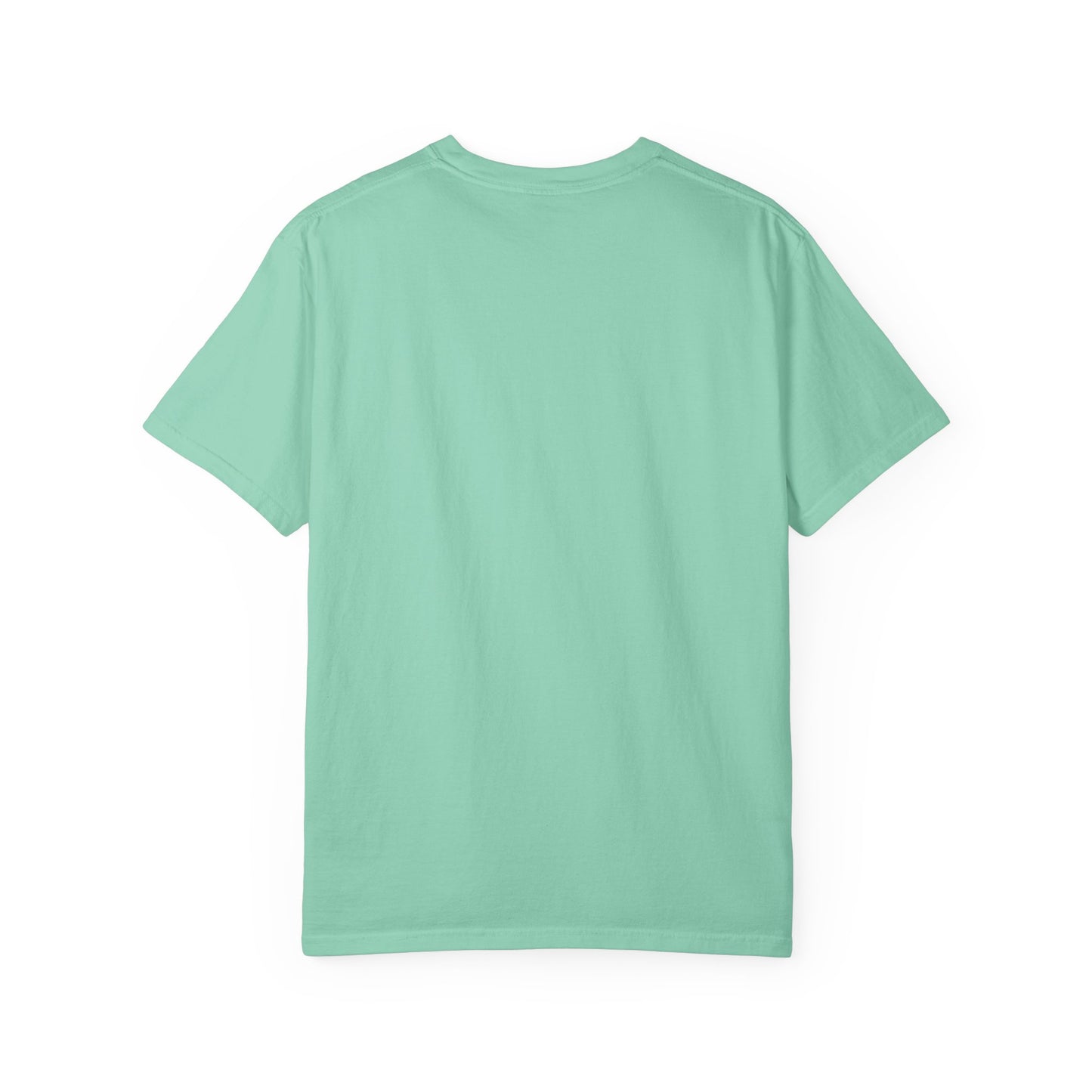 Classic Original B’ham Comfort Colors T-shirt